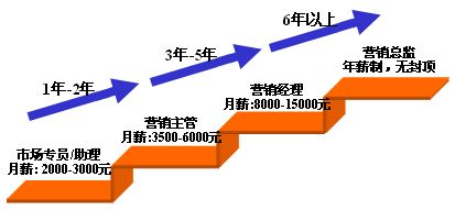 營銷之路 通往世界500強領(lǐng)導層的戰(zhàn)略起點